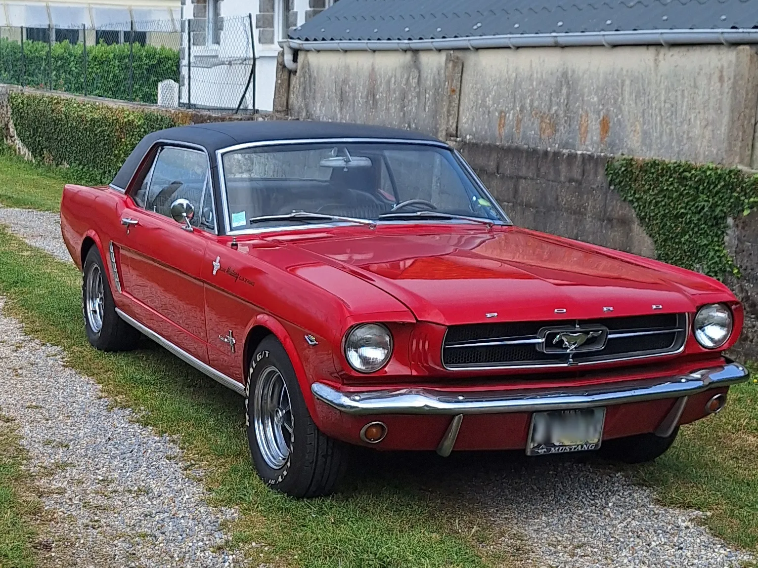 Mustang coupé 1965