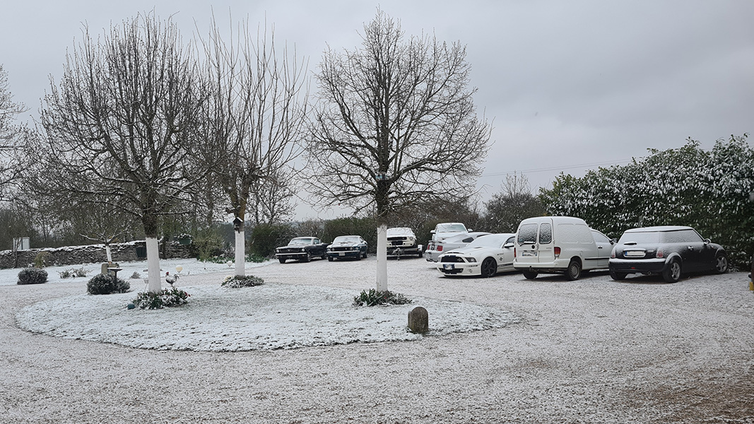 La neige s'est invitée pour le Mustang Day Image