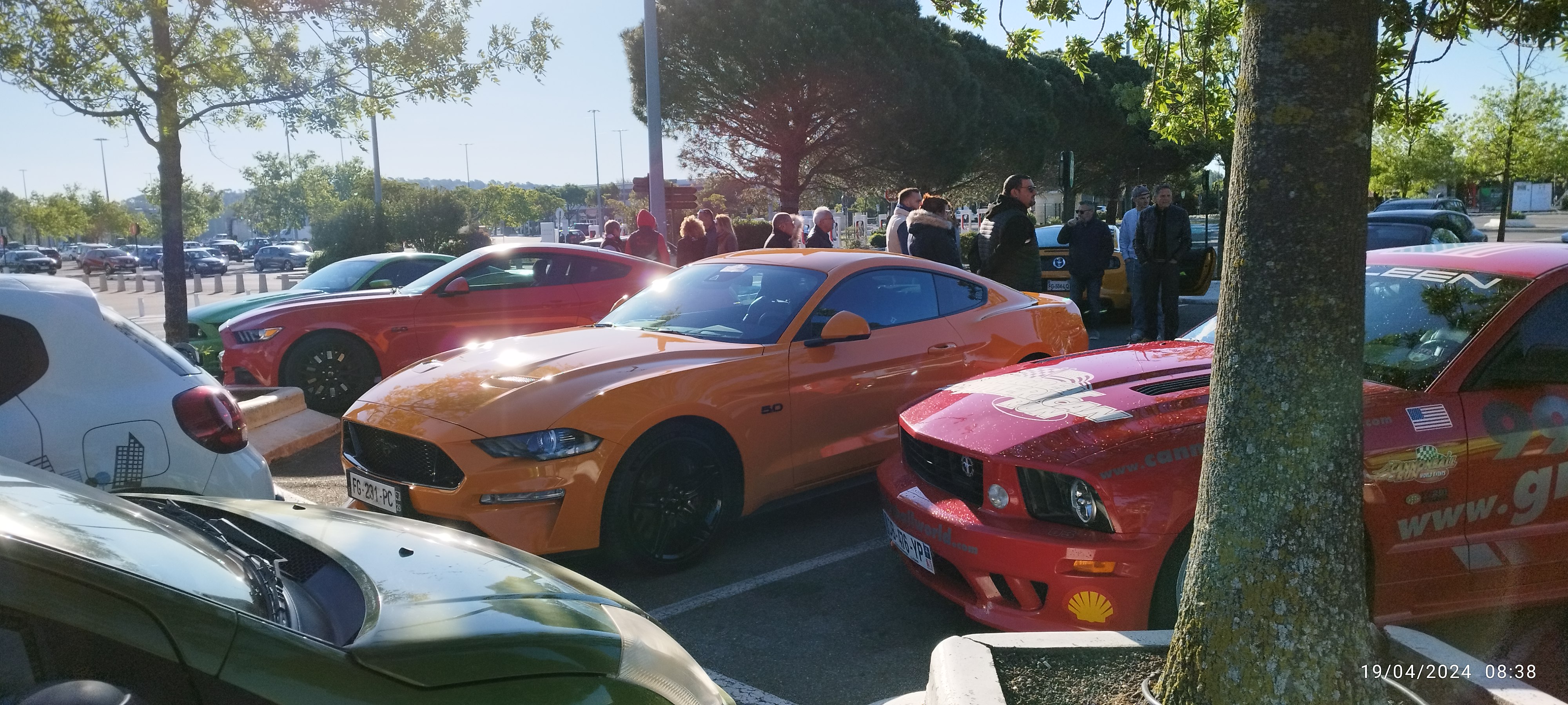 240419 60 ans Mustang 8