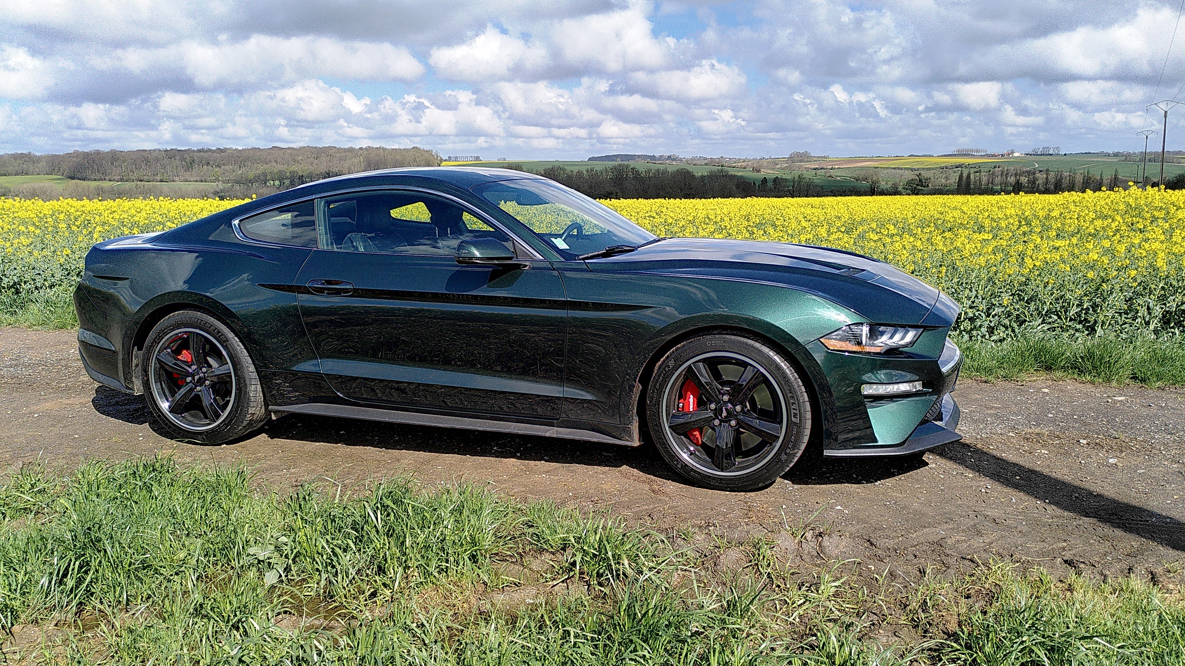 2022-0409 Mustang Bullitt K5504 06 RS.jpg