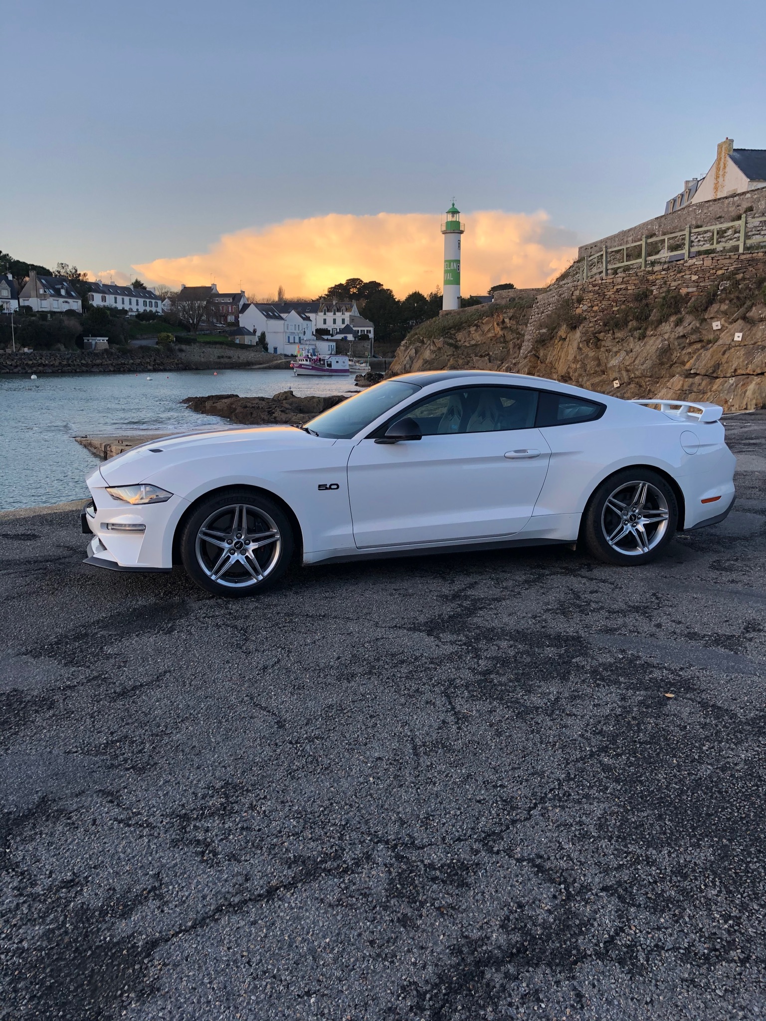 GT 2019